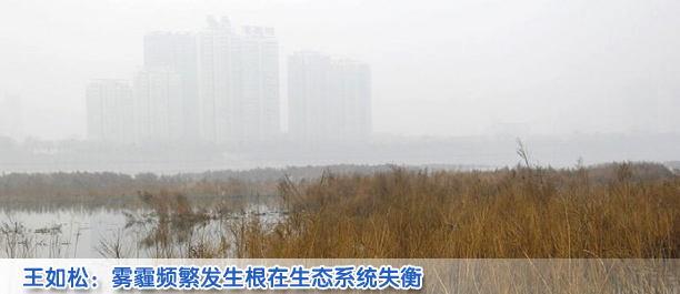 王如松代表:霧霾頻繁發生 根子在生態系統失衡