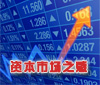 資本市場之惑