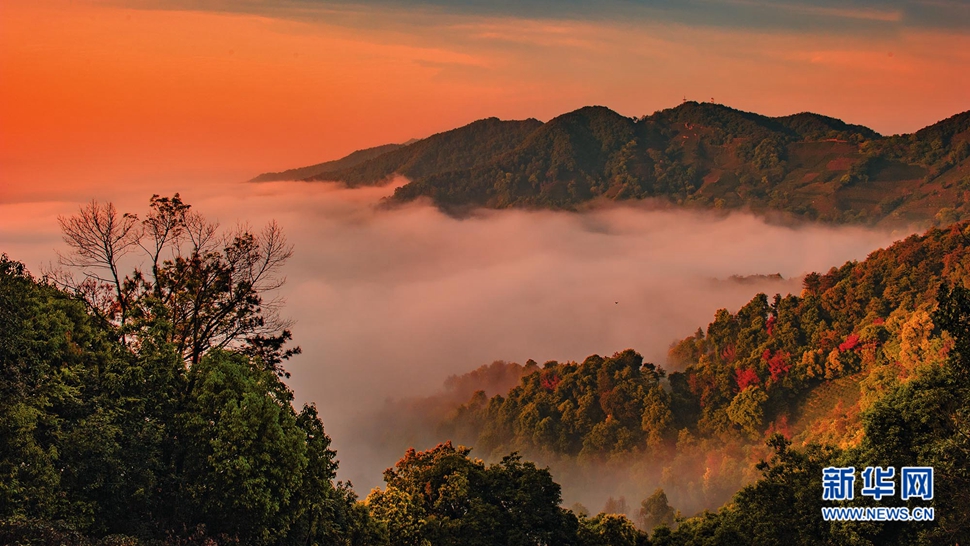 夕陽