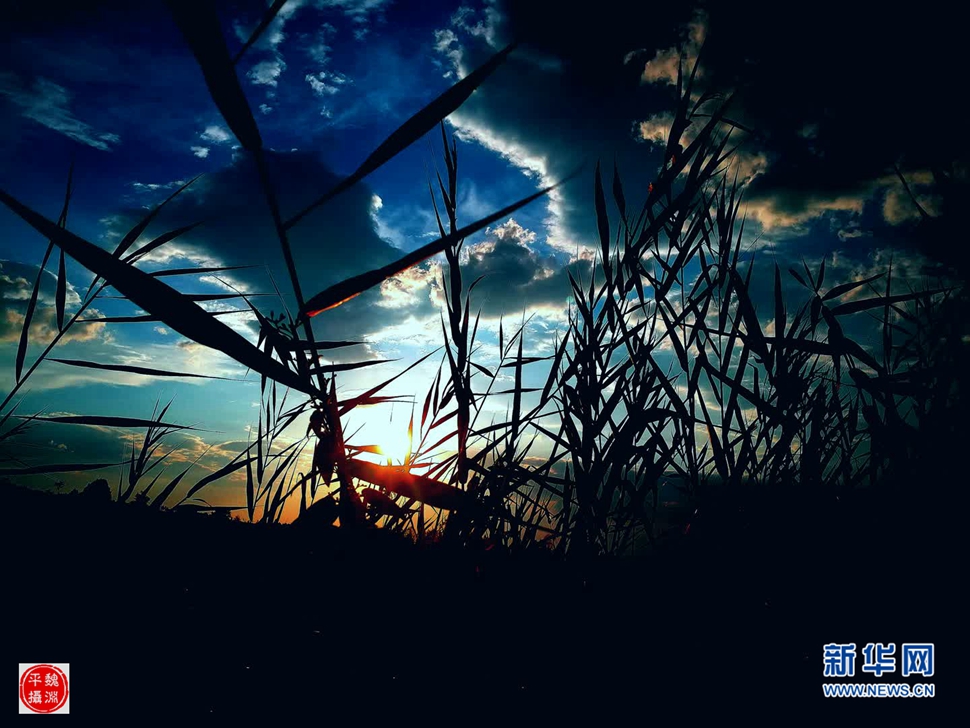 醉了的夕陽