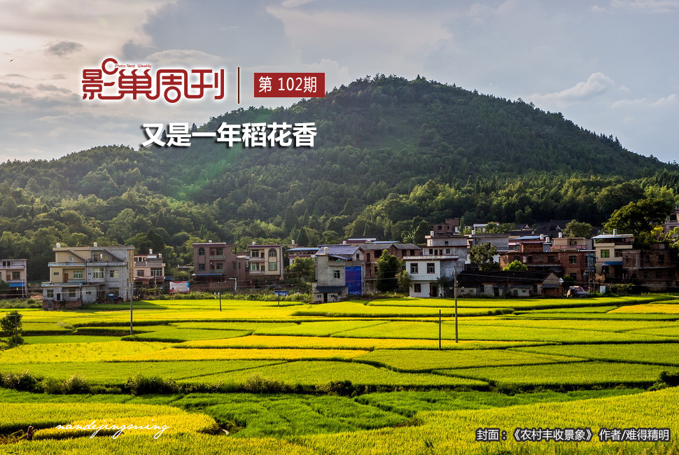 農村豐收景象