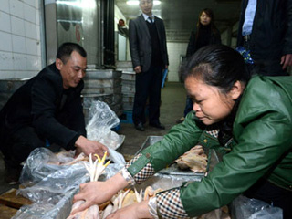 江西宰殺、冷凍積壓禽肉 緩解H7N9禽流感影響