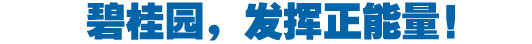 社會責(zé)任融入血液 碧桂園踐行&ldquo;中國夢&rdquo;
