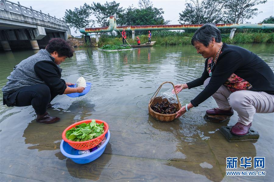 （砥礪奮進(jìn)的五年&middot;長(zhǎng)江經(jīng)濟(jì)帶）（1）江南水鄉(xiāng)&ldquo;河長(zhǎng)制&rdquo; 共護(hù)鄉(xiāng)村一池清水