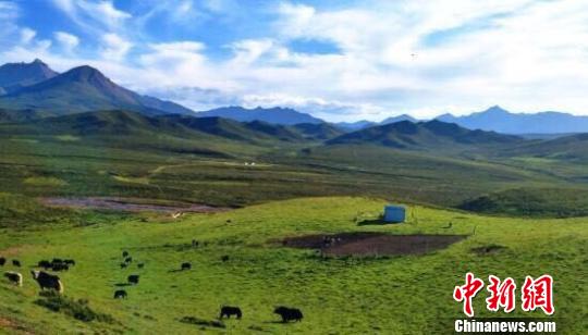 甘肅披露祁連山生態整改:退出礦權核心區遷居民
