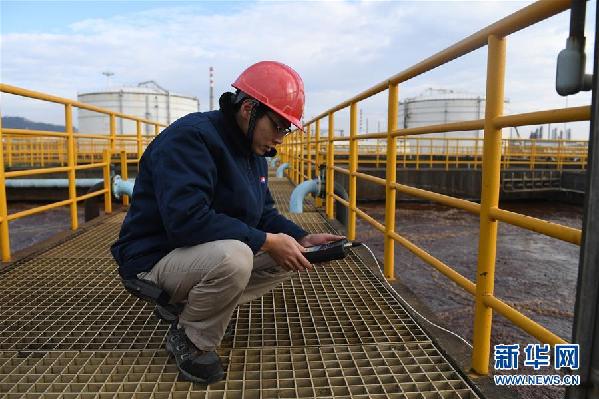 （在習近平新時代中國特色社會主義思想指引下&mdash;&mdash;新時代新氣象新作為&middot;圖文互動）（5）大工業與白海豚&ldquo;共存共榮&rdquo;&mdash;&mdash;廣西欽州港深化改革開放構建綠色發展高地
