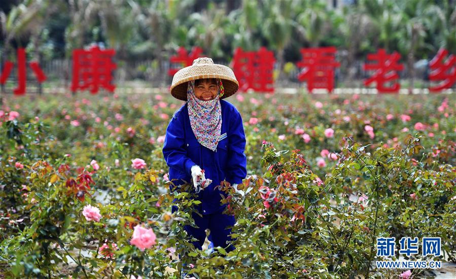 （新華全媒頭條&middot;潮起海之南&middot;圖文互動）（1）在偉大復(fù)興新征程上揚帆遠航&mdash;&mdash;從海南建省辦特區(qū)看中國改革開放40年