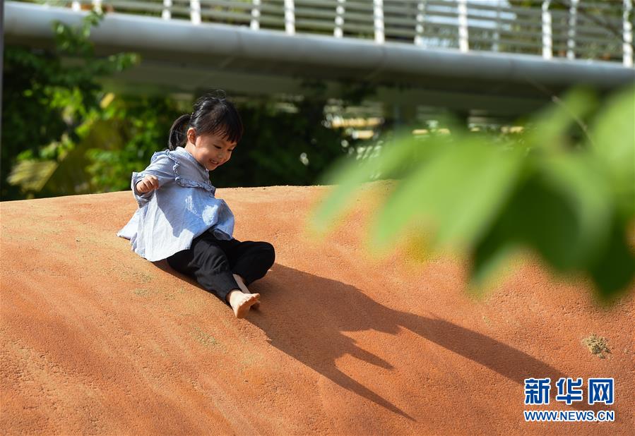 （圖文互動&middot;百城百縣百企調研行）（3）&ldquo;濕地海口&rdquo;的生態文明建設實踐