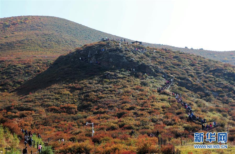 （城市綠道建設&middot;圖文互動）（2）青城登山步道：踏遍青山享美景 生態綠道助脫貧