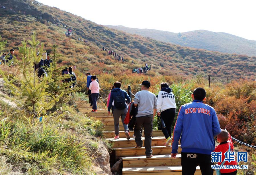 （城市綠道建設&middot;圖文互動）（5）青城登山步道：踏遍青山享美景 生態綠道助脫貧