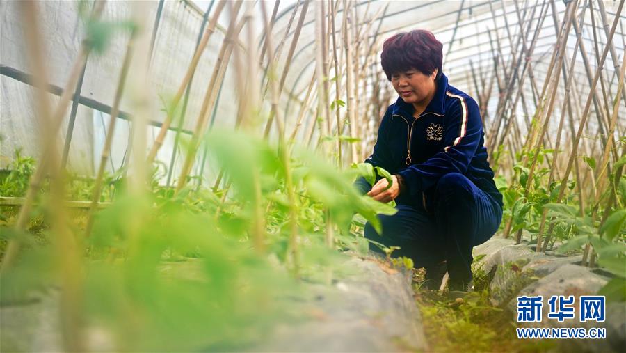 （鄉村振興&middot;圖文互動）（1）&ldquo;生活的滋味都在泡菜里&rdquo;&mdash;&mdash;江西瑞金&ldquo;華嬤嬤&rdquo;奮斗記