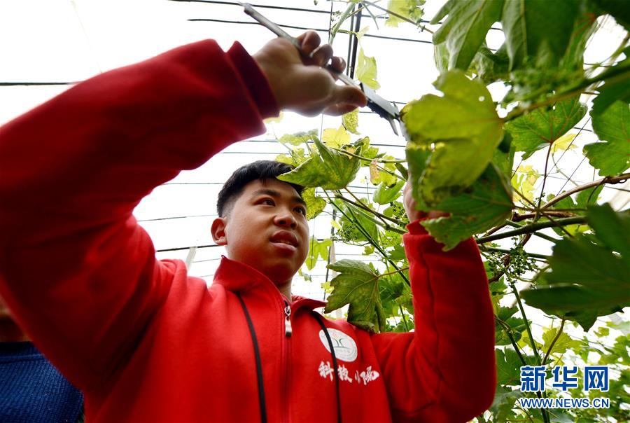 （愛國情 奮斗者&middot;圖文互動）（8） &ldquo;解民生之多艱，育天下之英才&rdquo;&mdash;&mdash;中國農大師生扎根田野書寫奉獻之歌