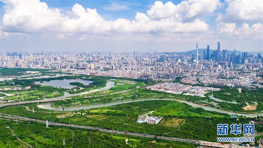 （在習近平新時代中國特色社會主義思想指引下&mdash;&mdash;新時代新作為新篇章&middot;圖文互動）（7）濕地就在城中央&mdash;&mdash;珠三角重塑人與自然和諧共生圖景