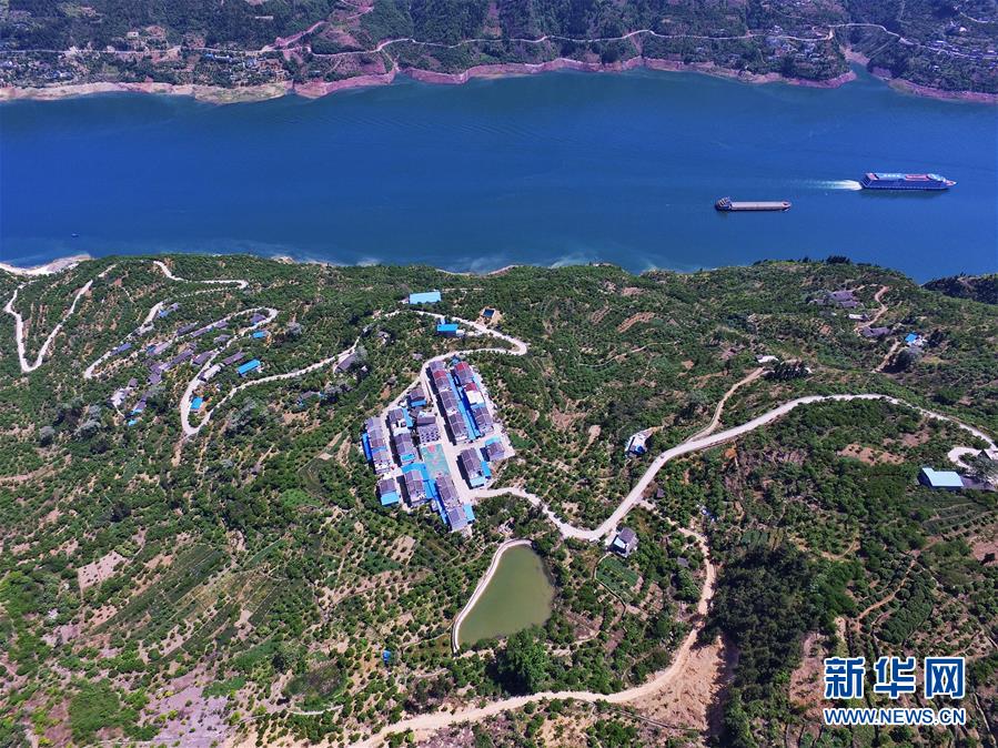 （在習(xí)近平新時(shí)代中國(guó)特色社會(huì)主義思想指引下&mdash;&mdash;新時(shí)代新作為新篇章）（2）重慶巫山：&ldquo;生態(tài)寶貝&rdquo;變身&ldquo;搖錢(qián)樹(shù)&rdquo;