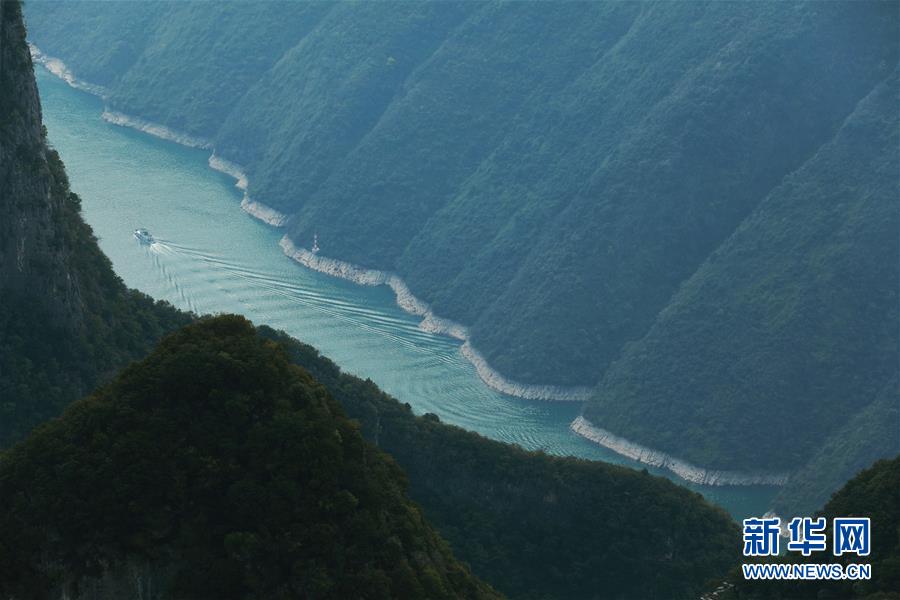 （在習(xí)近平新時(shí)代中國(guó)特色社會(huì)主義思想指引下&mdash;&mdash;新時(shí)代新作為新篇章）（14）重慶巫山：&ldquo;生態(tài)寶貝&rdquo;變身&ldquo;搖錢(qián)樹(shù)&rdquo;
