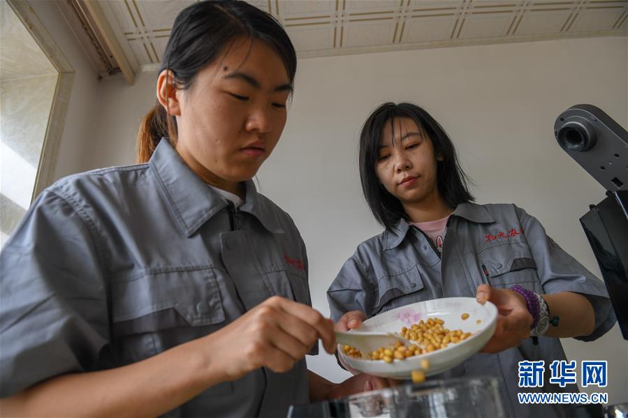 （在習(xí)近平新時(shí)代中國(guó)特色社會(huì)主義思想指引下&mdash;&mdash;新時(shí)代新作為新篇章&middot;圖文互動(dòng)）（3）大學(xué)生種田讓農(nóng)民&ldquo;老把式&rdquo;開(kāi)了眼&mdash;&mdash;吉林長(zhǎng)白山下的稻田新事
