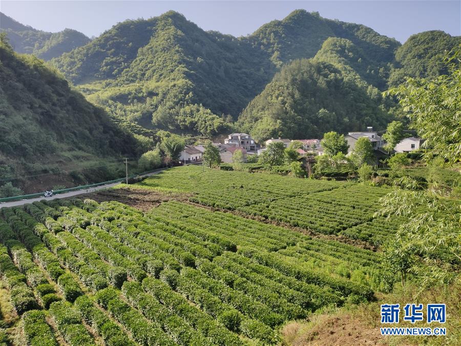 （圖文互動）（1）漢江畔崛起生態城&mdash;&mdash;來自南水北調中線核心水源地的調查報告