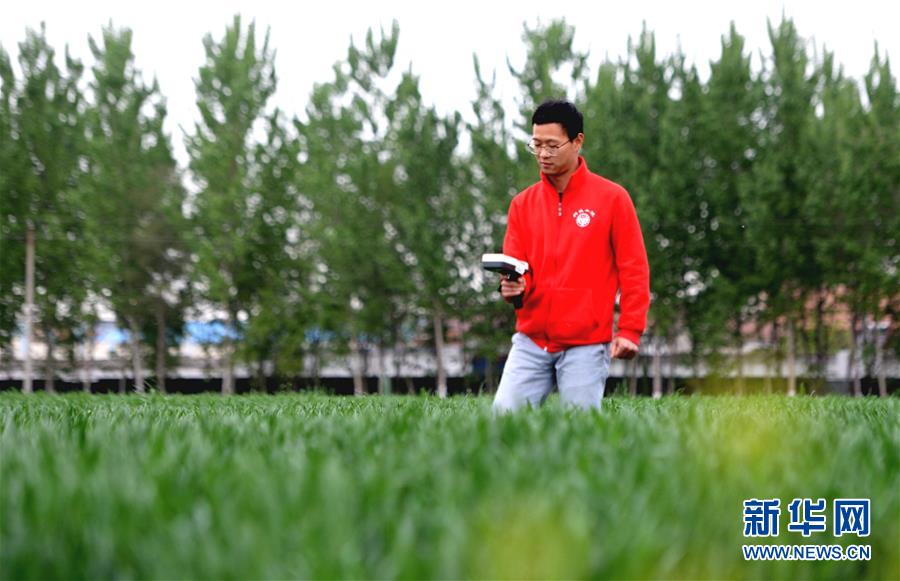（在習近平新時代中國特色社會主義思想指引下&mdash;&mdash;新時代新作為新篇章&middot;總書記關心的百姓身邊事&middot;圖文互動）（4）&ldquo;農&rdquo;字頭照樣&ldquo;大&rdquo;作為&mdash;&mdash;豐收時節看涉農高校人才在希望的田野