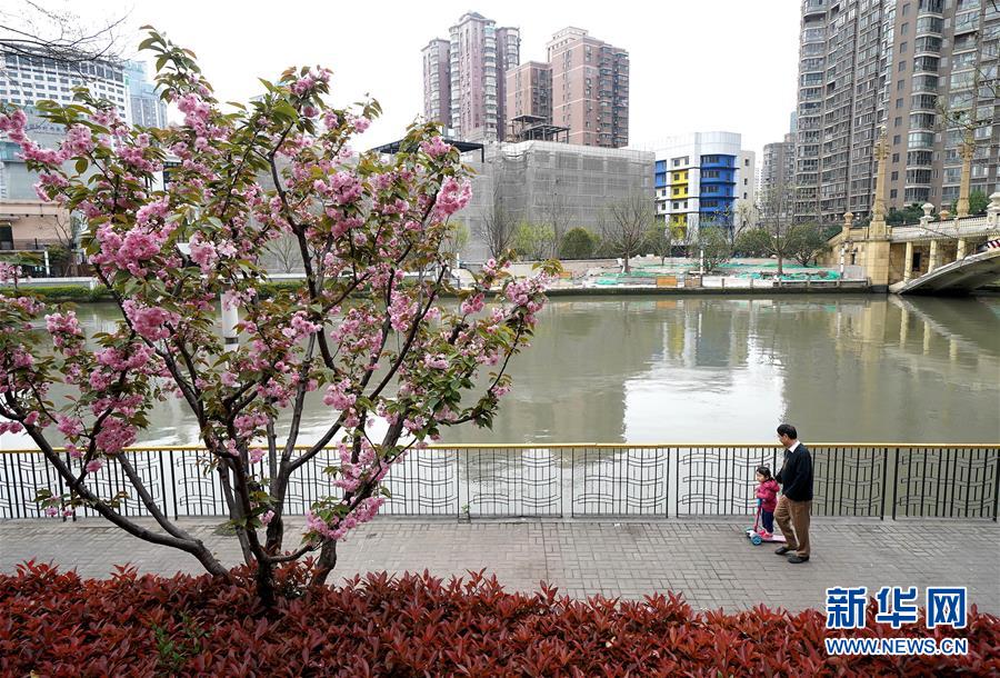 （新華全媒頭條&middot;走向我們的小康生活&middot;圖文互動）（12）城市，讓人民生活更美好