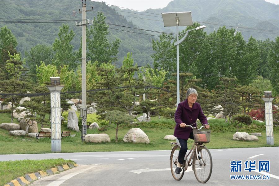 （新華視點&middot;圖文互動）（5）警惕重金&ldquo;移石造景&rdquo;之風：有的景觀石一塊逾百萬元
