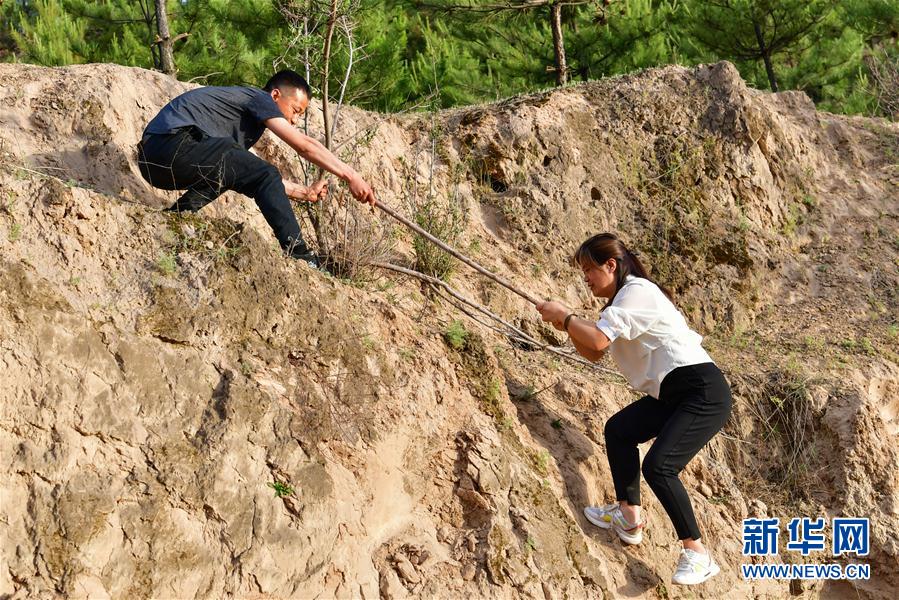 （新華全媒頭條&middot;圖文互動）（5）黃土地上向陽花開&mdash;&mdash;來自山西深度貧困地區的脫貧故事