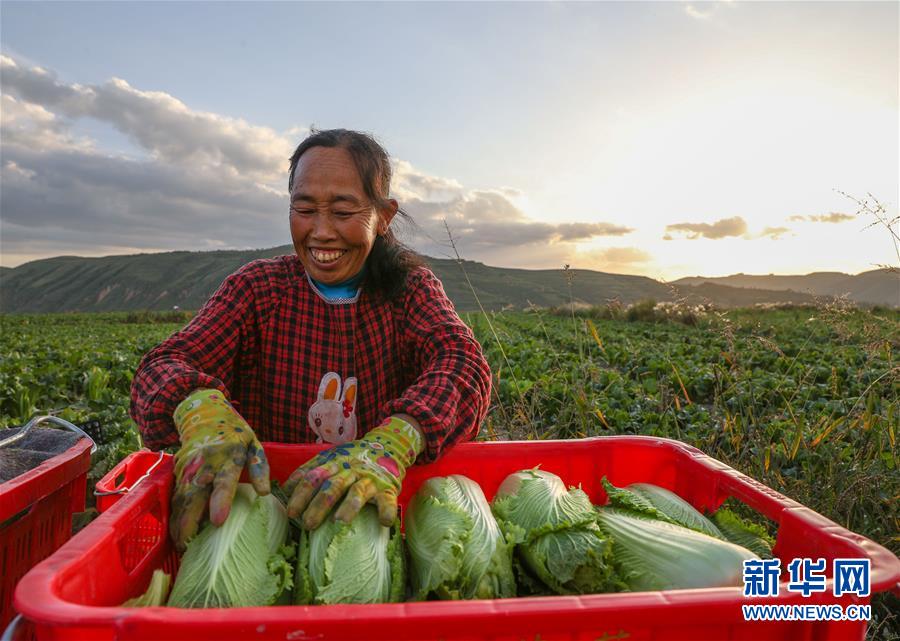 （新華全媒頭條&middot;決戰(zhàn)決勝脫貧攻堅&middot;督戰(zhàn)未摘帽貧困縣&middot;圖文互動）（1）不獲全勝，決不收兵&mdash;&mdash;全國52個掛牌督戰(zhàn)貧困縣脫貧攻堅紀實