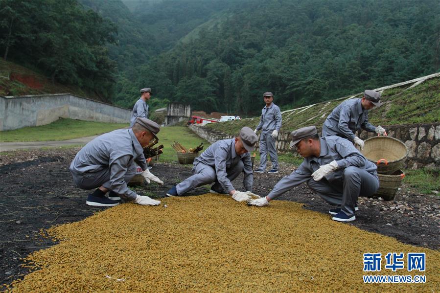 (在習近平強軍思想指引下·我們在戰位報告·圖文互動)(3)牢記統帥囑托 做刀尖上的舞者——記聯勤保障部隊某報廢武器彈藥銷毀站參謀長陳雪禮