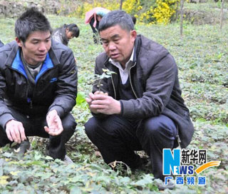 &ldquo;大山的脊梁&rdquo;吳天來：挺直腰桿帶領群眾共同富裕