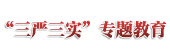 &ldquo;三嚴三實&rdquo;專題教育