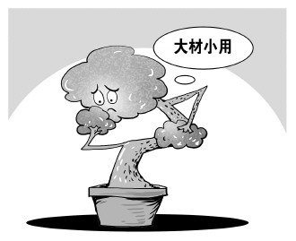 自認&ldquo;大材小用&rdquo;，不如腳踏實地
