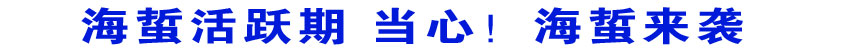 海蜇活躍期 當心!海蜇來襲