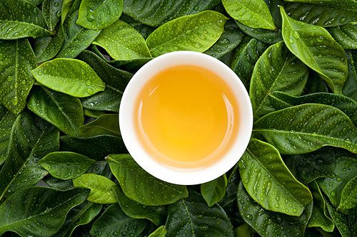 茶安全&bull; 追蹤茶葉農殘問題真相
