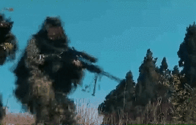 突入，擊斃！直擊武警特戰反劫持演練！