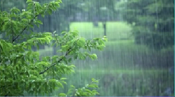 江蘇&ldquo;入梅&rdquo; 預計今年梅雨期降水量接近常年