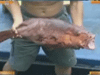 [新聞1+1] 走，南沙捕魚去！