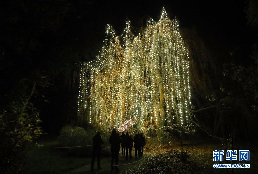 （國際）（1）&ldquo;柏林圣誕花園&rdquo;燈光秀開幕