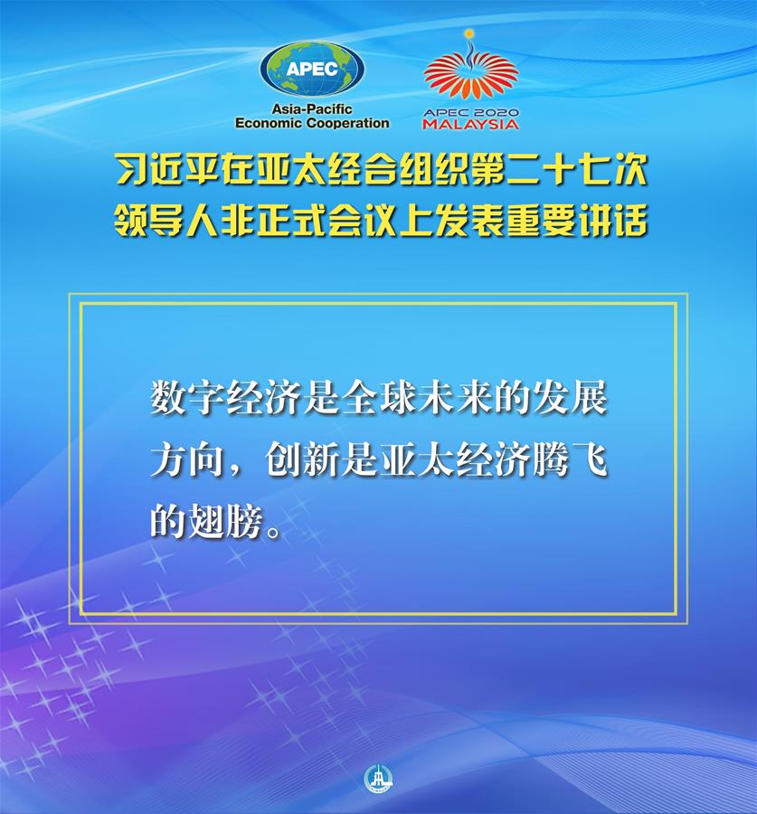 （圖表&middot;海報）［外事］習近平出席亞太經合組織第二十七次領導人非正式會議并發表重要講話（7）