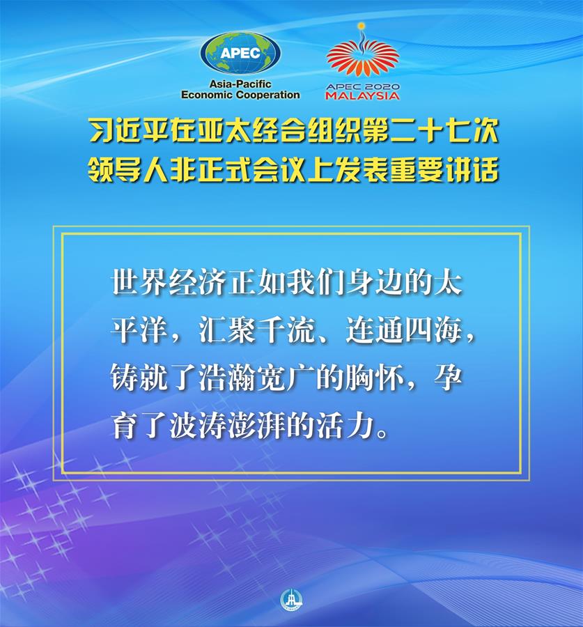 （圖表&middot;海報）［外事］習近平出席亞太經合組織第二十七次領導人非正式會議并發表重要講話（5）