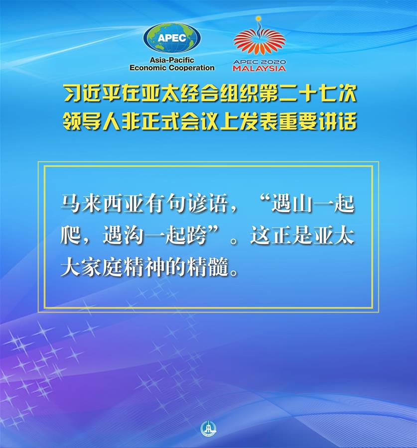 （圖表&middot;海報）［外事］習近平出席亞太經合組織第二十七次領導人非正式會議并發表重要講話（10）