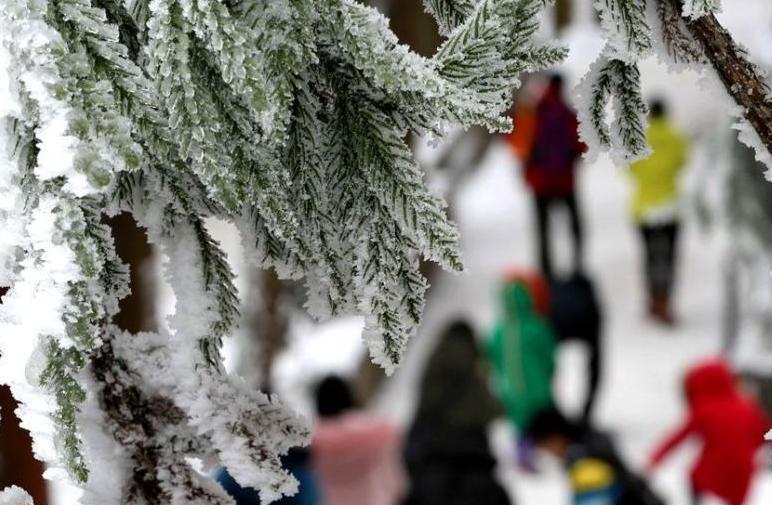 張家界武陵源現冰雪峰林 游人享&ldquo;南國雪色&rdquo;