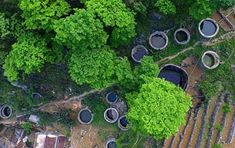 從禿山到青山的蝶變&mdash;&mdash;廣西石漠化治理10年再現發展生機