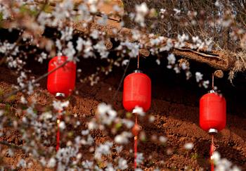 大山里的&ldquo;愛和小鎮(zhèn)&rdquo;：當(dāng)鄉(xiāng)村遇上藝術(shù)