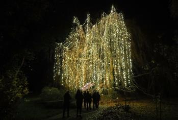 &ldquo;柏林圣誕花園&rdquo;燈光秀開幕
